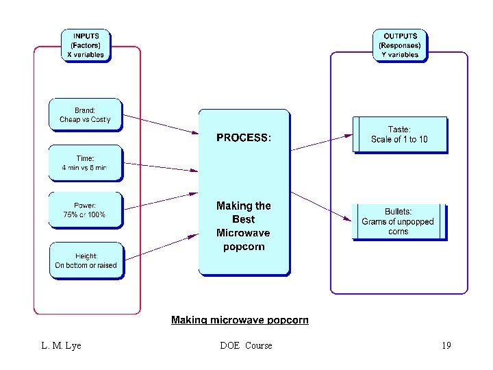 L. M. Lye DOE Course 19 