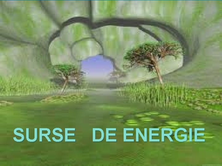 SURSE DE ENERGIE 