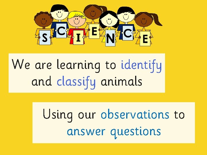 We are learning to identify and classify animals Using our observations to answer questions