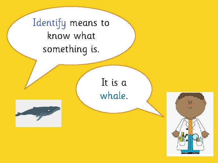Identify means to know what something is. It is a whale. 