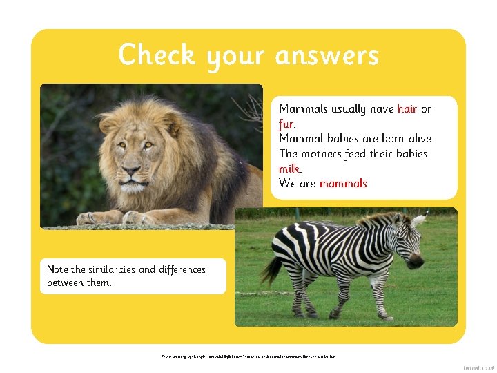 Check your answers Mammals usually have hair or fur. Mammal babies are born alive.