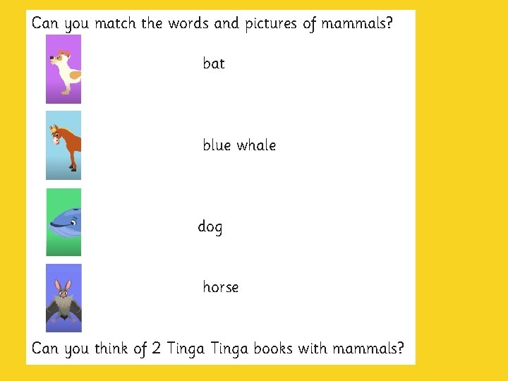 Can you match the words and pictures of mammals? bat blue whale dog horse