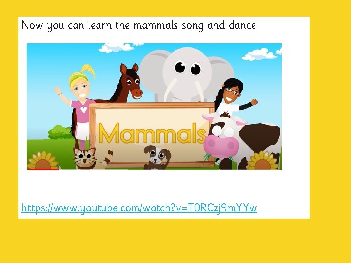 Now you can learn the mammals song and dance https: //www. youtube. com/watch? v=T