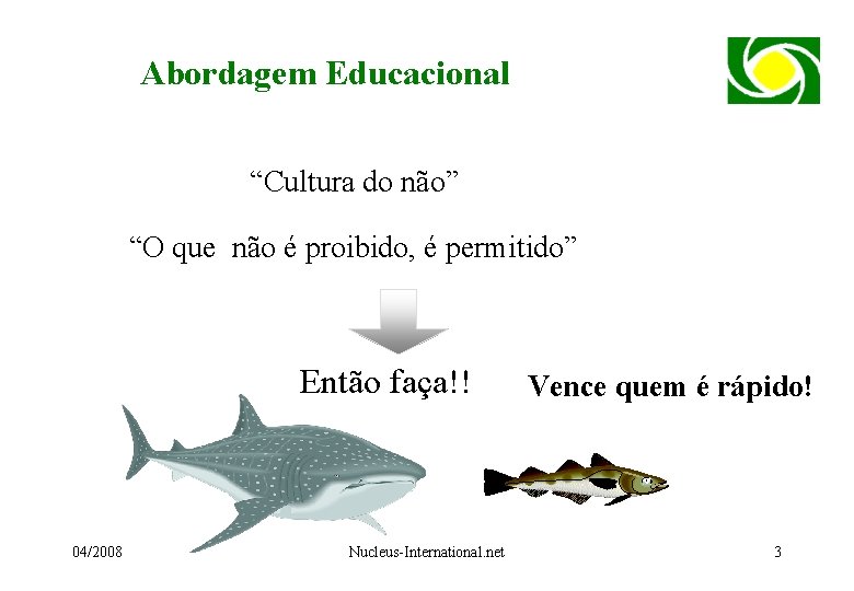 Abordagem Educacional “Cultura do não” “O que não é proibido, é permitido” Então faça!!
