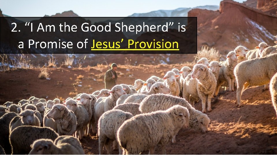 2. “I Am the Good Shepherd” is a Promise of Jesus’ Provision 