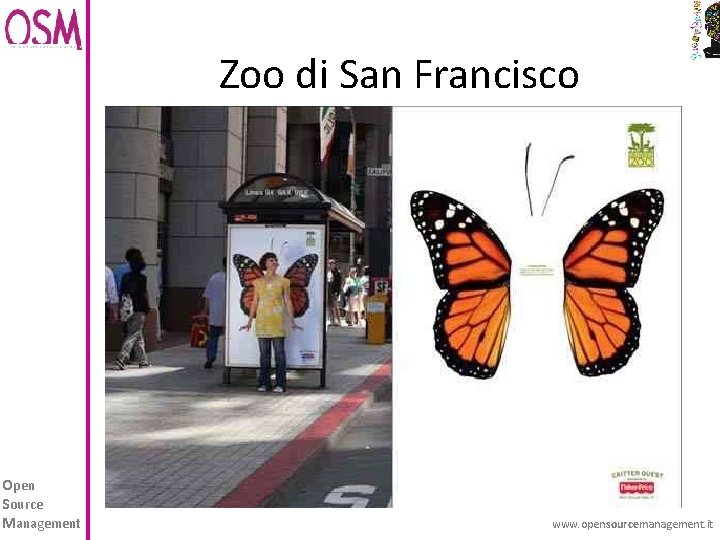 Zoo di San Francisco Open Source Management www. opensourcemanagement. it 