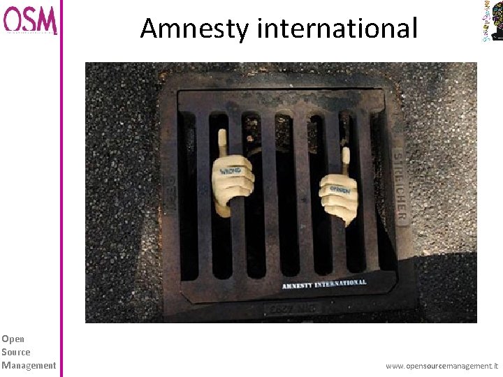 Amnesty international Open Source Management www. opensourcemanagement. it 