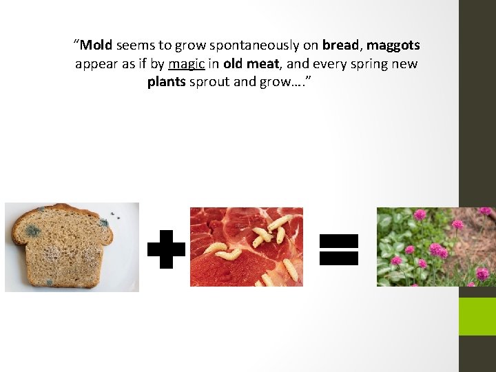 “Mold seems to grow spontaneously on bread, maggots appear as if by magic in “Mold seems to grow spontaneously on bread, maggots appear as if by magic in