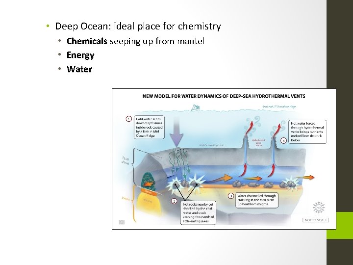 • Deep Ocean: ideal place for chemistry • Chemicals seeping up from mantel • Deep Ocean: ideal place for chemistry • Chemicals seeping up from mantel