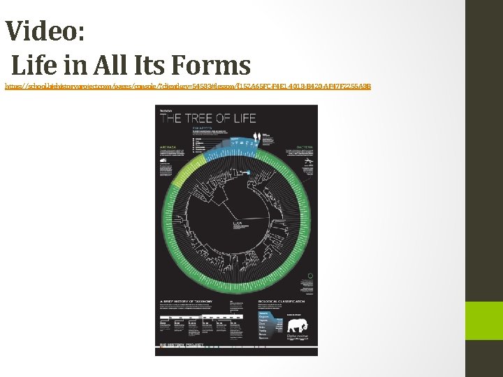 Video: Life in All Its Forms https: //school. bighistoryproject. com/pages/console/? clientkey=54583#lesson/{152 A 65 FC-F Video: Life in All Its Forms https: //school. bighistoryproject. com/pages/console/? clientkey=54583#lesson/{152 A 65 FC-F