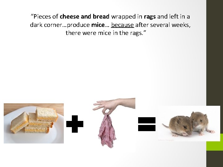 “Pieces of cheese and bread wrapped in rags and left in a dark corner…produce “Pieces of cheese and bread wrapped in rags and left in a dark corner…produce