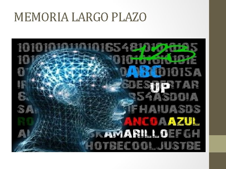 MEMORIA LARGO PLAZO 