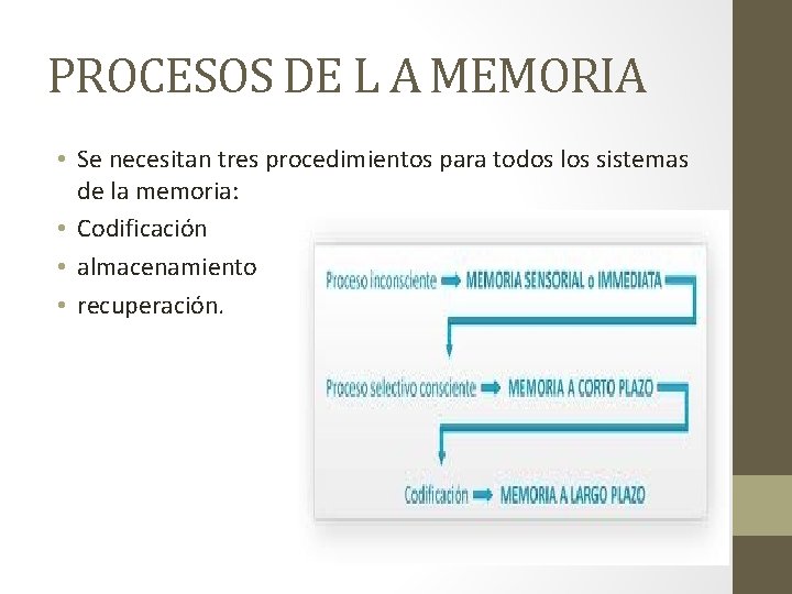 PROCESOS DE L A MEMORIA • Se necesitan tres procedimientos para todos los sistemas