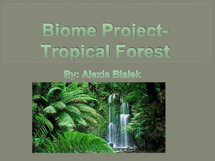 Biome Project. Tropical Forest By: Alexis Bialek 