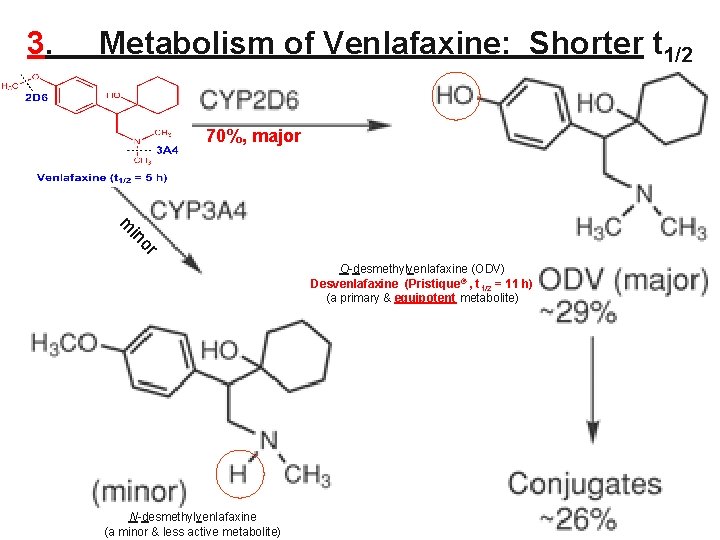 3. Metabolism of Venlafaxine: Shorter t 1/2 70%, major or in m O-desmethylvenlafaxine (ODV) 3. Metabolism of Venlafaxine: Shorter t 1/2 70%, major or in m O-desmethylvenlafaxine (ODV)