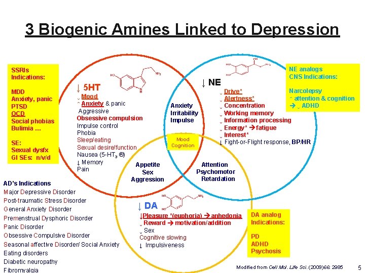 3 Biogenic Amines Linked to Depression SSRIs Indications: MDD Anxiety, panic PTSD OCD Social 3 Biogenic Amines Linked to Depression SSRIs Indications: MDD Anxiety, panic PTSD OCD Social
