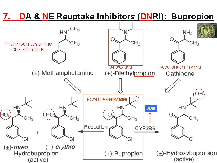 7. DA & NE Reuptake Inhibitors (DNRI): Bupropion Phenylisopropylamine CNS stimulants (Anorexiant) (A constituent 7. DA & NE Reuptake Inhibitors (DNRI): Bupropion Phenylisopropylamine CNS stimulants (Anorexiant) (A constituent