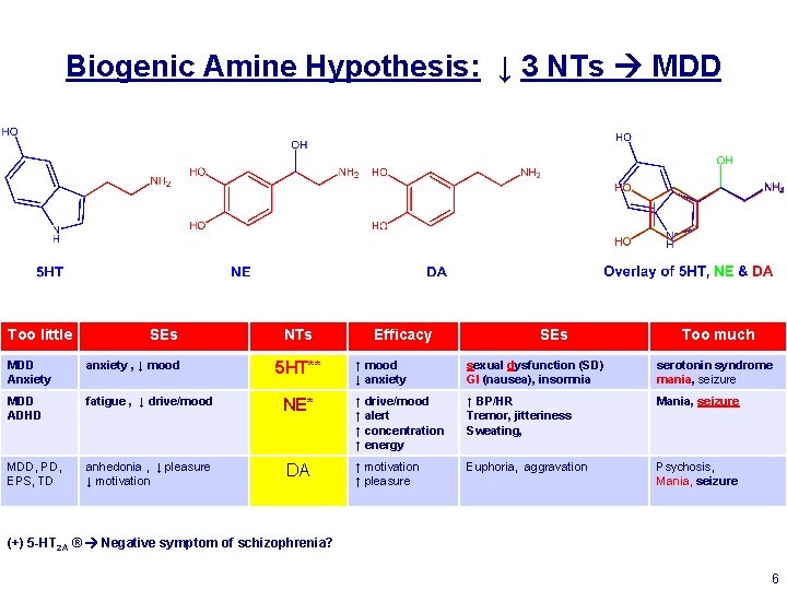Biogenic Amine Hypothesis: ↓ 3 NTs MDD Too little SEs MDD Anxiety anxiety , Biogenic Amine Hypothesis: ↓ 3 NTs MDD Too little SEs MDD Anxiety anxiety ,