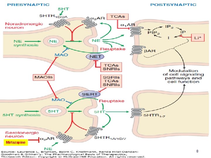 Mirtazapine 8 Mirtazapine 8