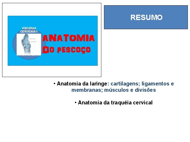 RESUMO • Anatomia da laringe: cartilagens; ligamentos e membranas; músculos e divisões • Anatomia