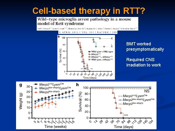 Cell-based therapy in RTT? BMT worked presymptomatically Required CNS irradiation to work 