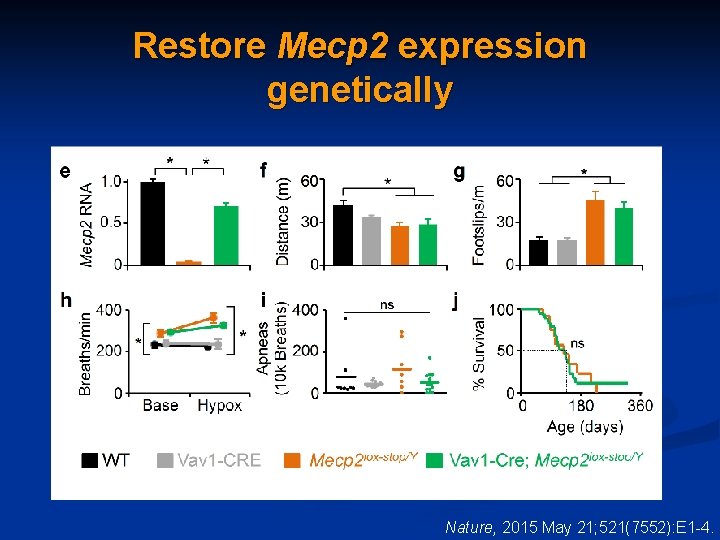 Restore Mecp 2 expression genetically Nature, 2015 May 21; 521(7552): E 1 -4. 