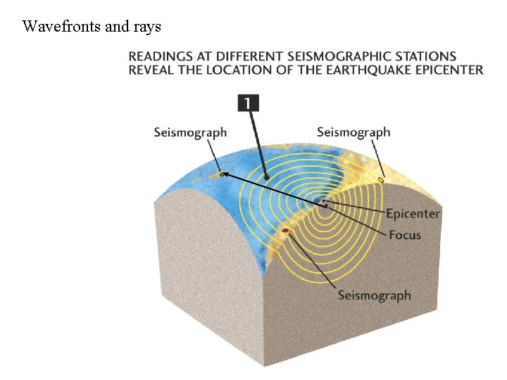 Wavefronts and rays 