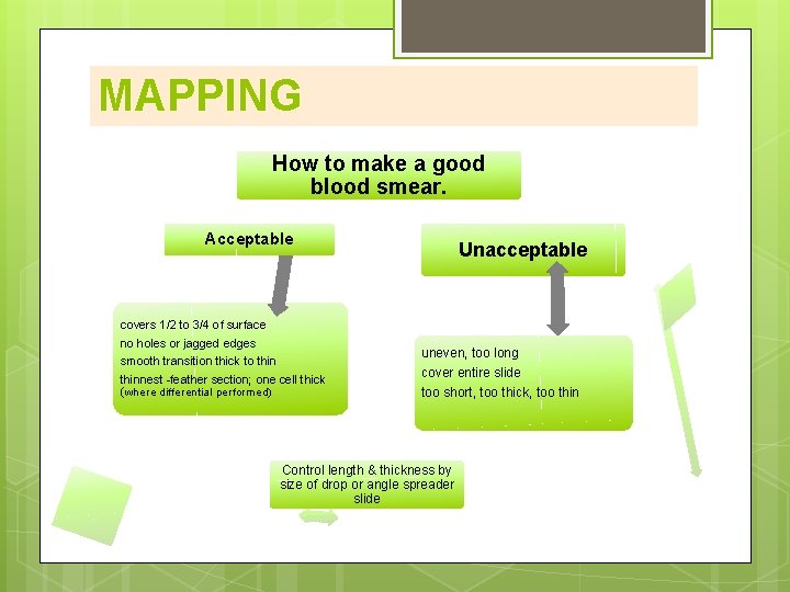 MAPPING How to make a good blood smear. Acceptable covers 1/2 to 3/4 of