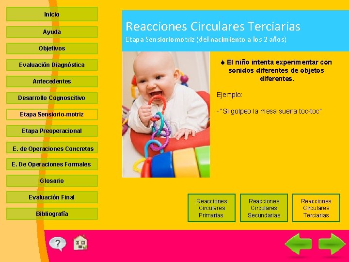 Inicio Ayuda Reacciones Circulares Terciarias Etapa Sensioriomotriz (del nacimiento a los 2 años) Objetivos