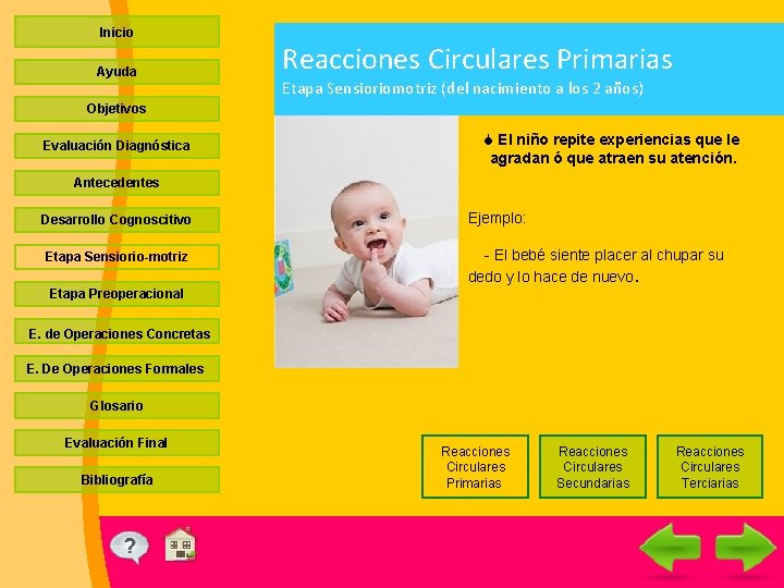 Inicio Ayuda Reacciones Circulares Primarias Etapa Sensioriomotriz (del nacimiento a los 2 años) Objetivos