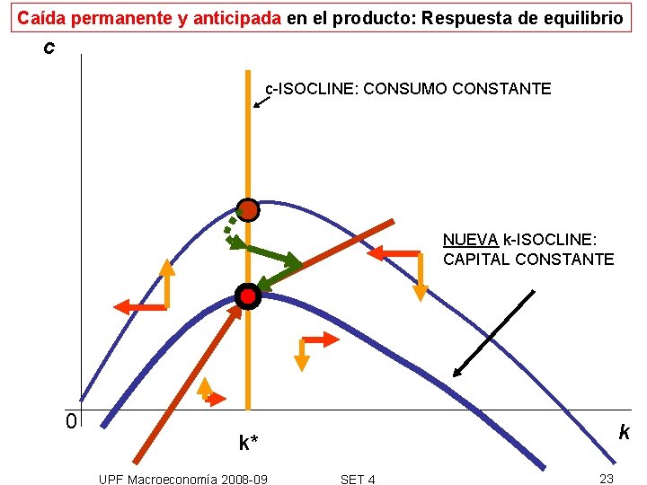 Caída permanente y anticipada en el producto: Respuesta de equilibrio c c-ISOCLINE: CONSUMO CONSTANTE