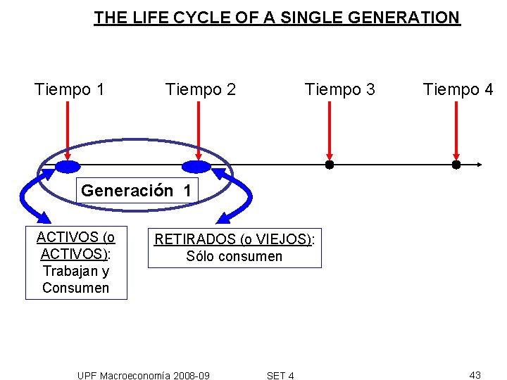 THE LIFE CYCLE OF A SINGLE GENERATION Tiempo 1 Tiempo 2 Tiempo 3 Tiempo