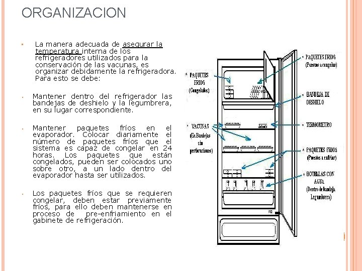 ORGANIZACION • La manera adecuada de asegurar la temperatura interna de los refrigeradores utilizados