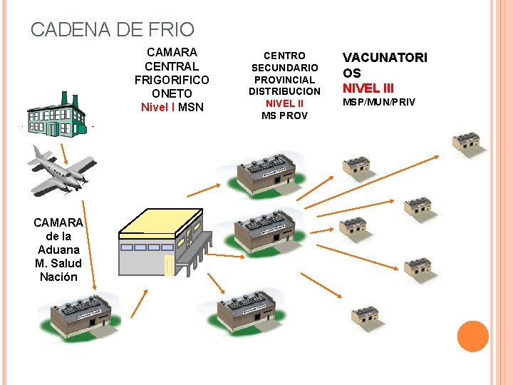 CADENA DE FRIO CAMARA CENTRAL FRIGORIFICO ONETO Nivel I MSN CAMARA de la Aduana