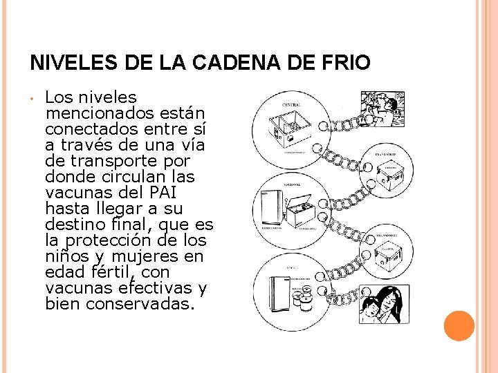 NIVELES DE LA CADENA DE FRIO • Los niveles mencionados están conectados entre sí