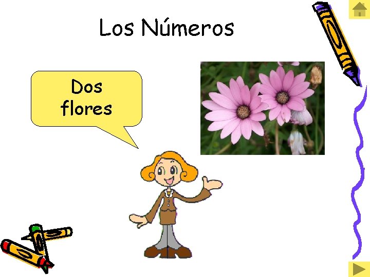 Los Números Dos flores 