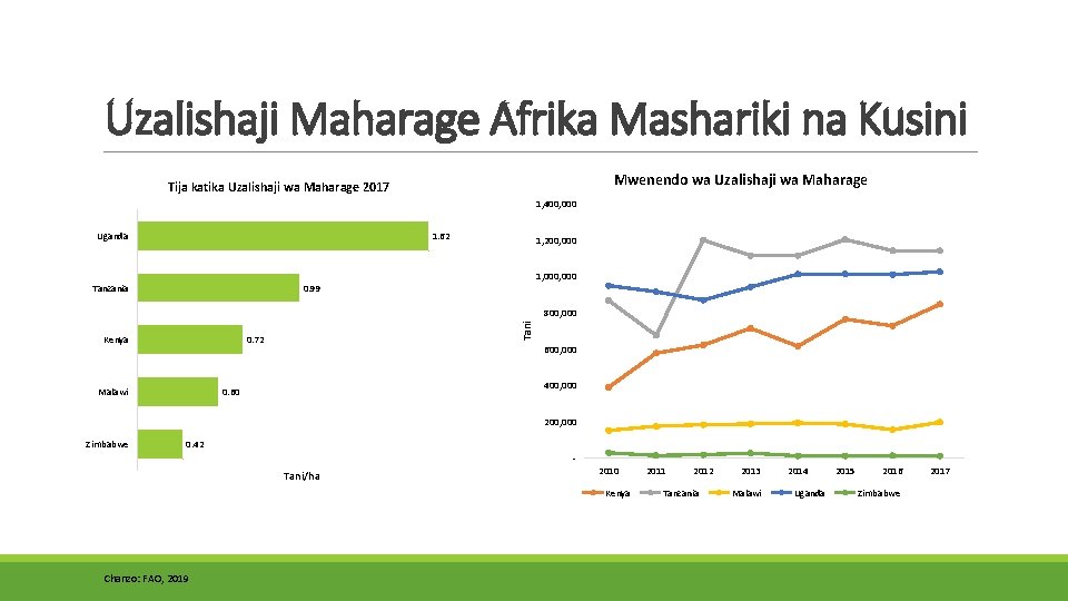 Uzalishaji Maharage Afrika Mashariki na Kusini Mwenendo wa Uzalishaji wa Maharage Tija katika Uzalishaji