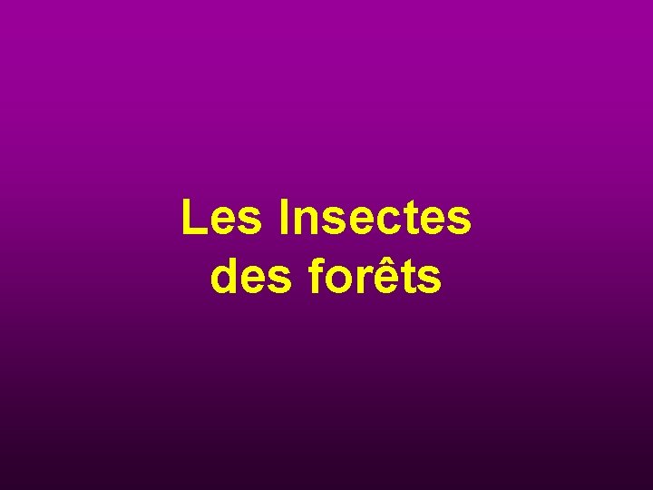 Les Insectes des forêts 