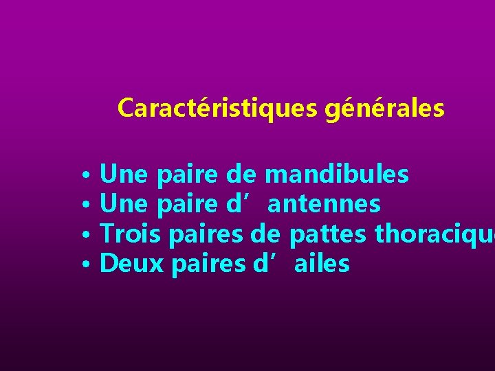 Caractéristiques générales • Une paire de mandibules • Une paire d’antennes • Trois paires