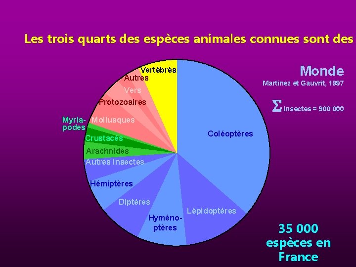 Les trois quarts des espèces animales connues sont des Monde Vertébrés Autres Martinez et