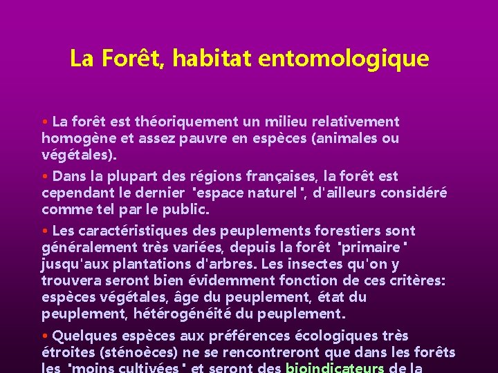 La Forêt, habitat entomologique • La forêt est théoriquement un milieu relativement homogène et