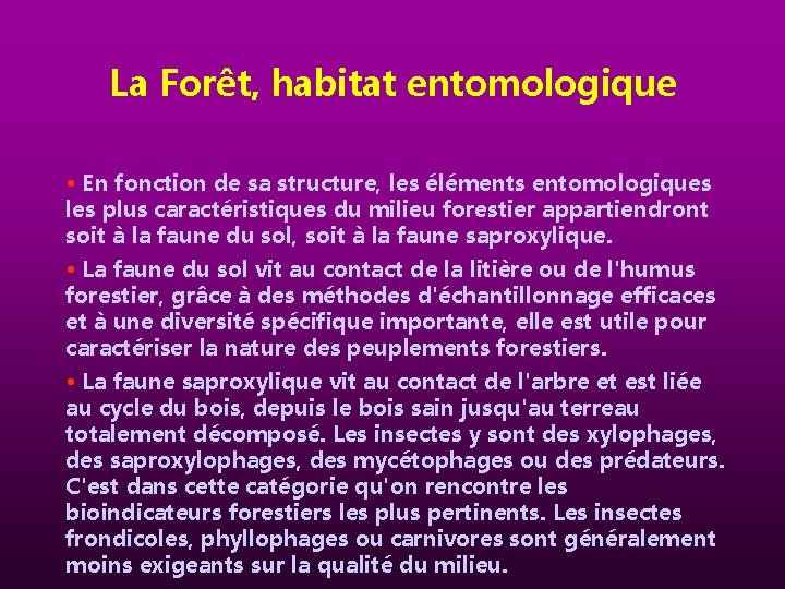 La Forêt, habitat entomologique • En fonction de sa structure, les éléments entomologiques les