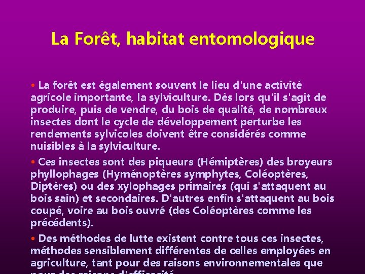 La Forêt, habitat entomologique • La forêt est également souvent le lieu d'une activité