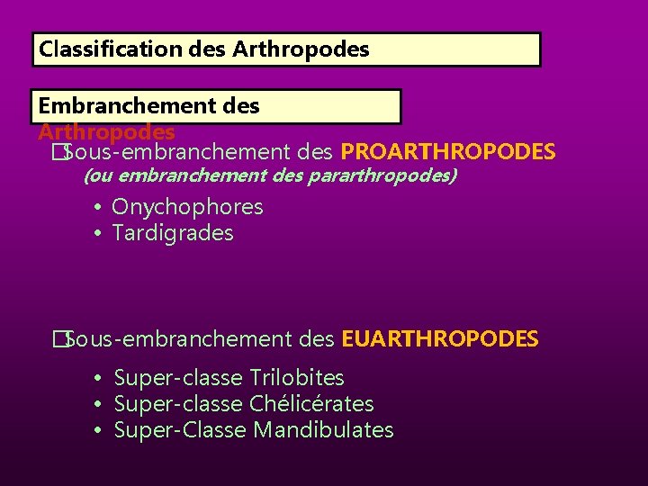Classification des Arthropodes Embranchement des Arthropodes �Sous-embranchement des PROARTHROPODES (ou embranchement des pararthropodes) •