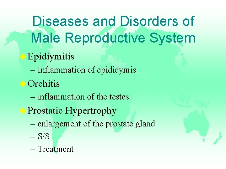 Diseases and Disorders of Male Reproductive System u Epidiymitis – Inflammation of epididymis u