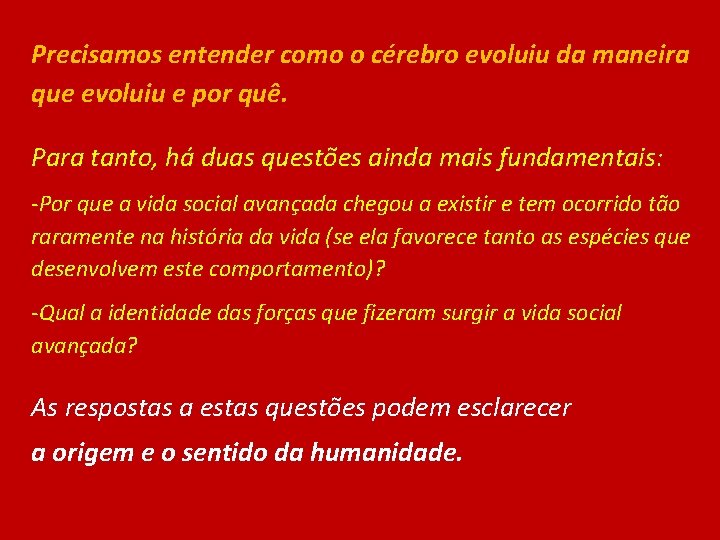 Precisamos entender como o cérebro evoluiu da maneira que evoluiu e por quê. Para