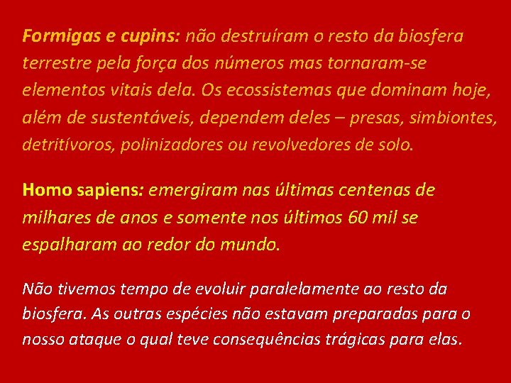 Formigas e cupins: não destruíram o resto da biosfera terrestre pela força dos números