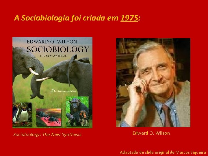 A Sociobiologia foi criada em 1975: Sociobiology: The New Synthesis Edward O. Wilson Adaptado