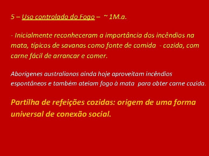 5 – Uso controlado do Fogo – ~ 1 M. a. - Inicialmente reconheceram