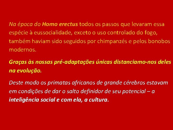 Na época do Homo erectus todos os passos que levaram essa espécie à eussocialidade,